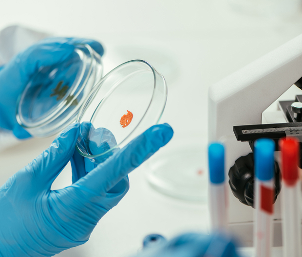 Корона у Црној Гори: Опоравиле се 233, тренутно заражене 82 особе